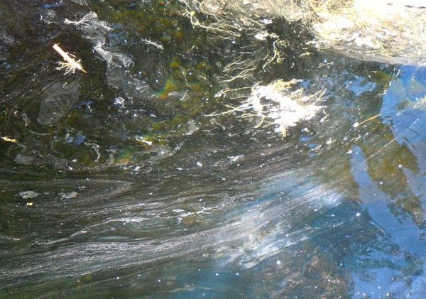 Source of Taylor Creek spill unknown; samples taken