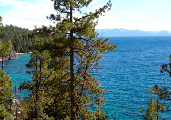 Tourism focus groups know little about Nevada