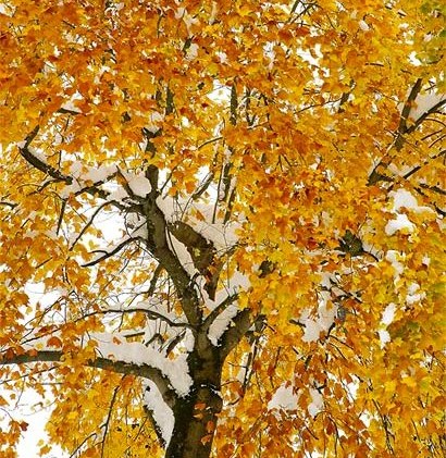 Photo exhibit all about autumn