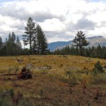golf lede Part of Washoe Meadows State Park may be turned into a golf course. Photos/Kathryn Reed