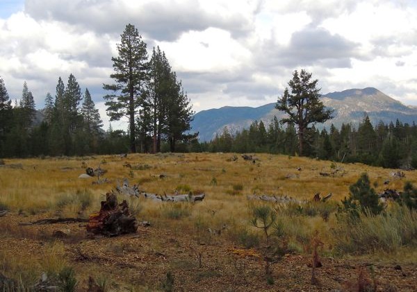Washoe Meadows golf course drives wedge between users