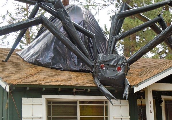 What is your favorite part about Halloween?