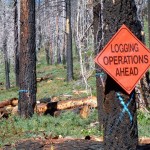 The 10,000-plus South Shore fuels project could begin in 2012. Photo/LTN file