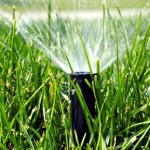 sprinkler