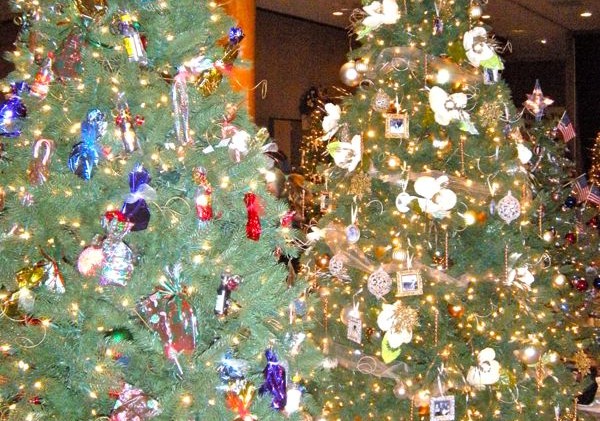 Final winner picked for Festival of Trees and Lights