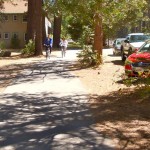 The bike trail by Camp Richardson may be upgraded and parking in the dirt eliminated. Photo/LTN file
