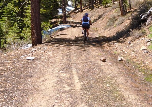 Report: Dirts roads more problematic than logging for erosion