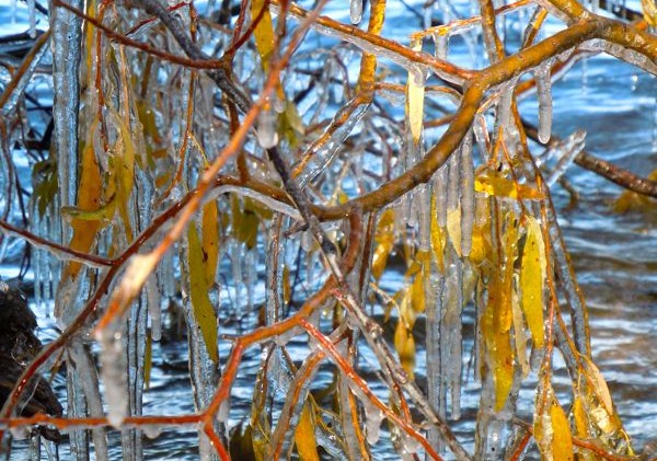 Lake Tahoe forecast — brrrrrrrrrrrr