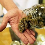 pot