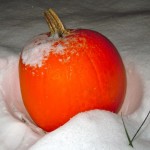 pumpkin The seasons are changing in Lake Tahoe. Photo/LTN