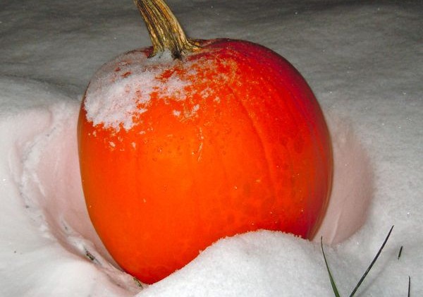 Tahoe covered in white, schools open