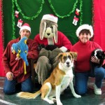 santa paws