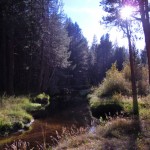 trout Trout Creek is higher in October than it has been in years. Photo/LTN
