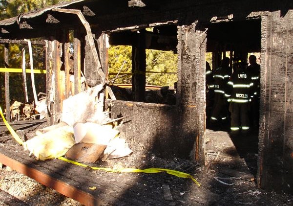 Fire destroys 2 houses, kills 2 dogs on South Shore