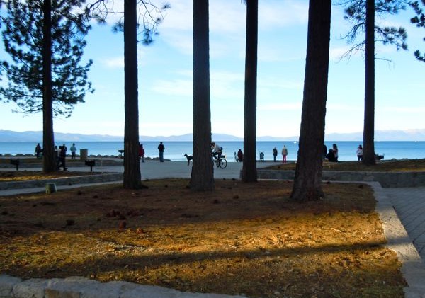 No scarcity in visitors to Lakeview Commons