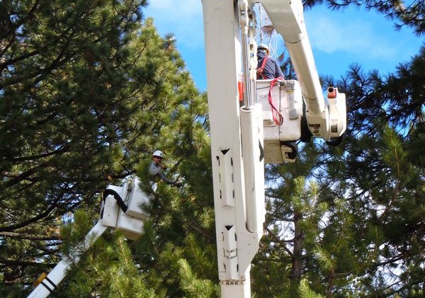2 tree lightings in South Lake Tahoe today
