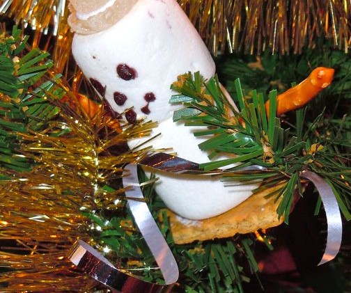 Fire safety comes before fun at Festival of Trees and Lights