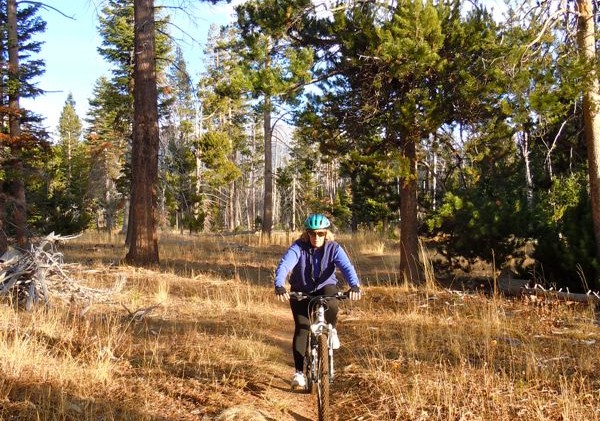 State panel to reconsider Washoe Meadows decision