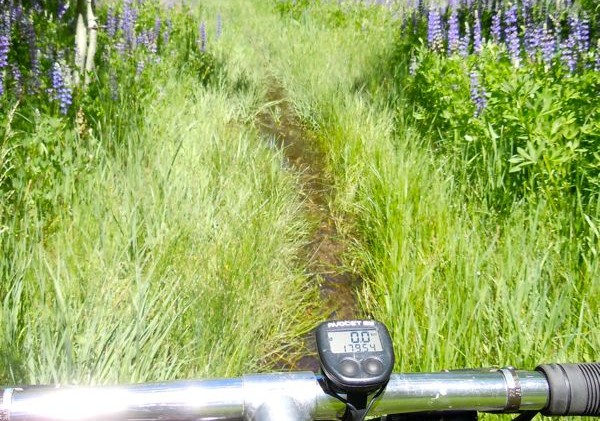 Snippets about Lake Tahoe