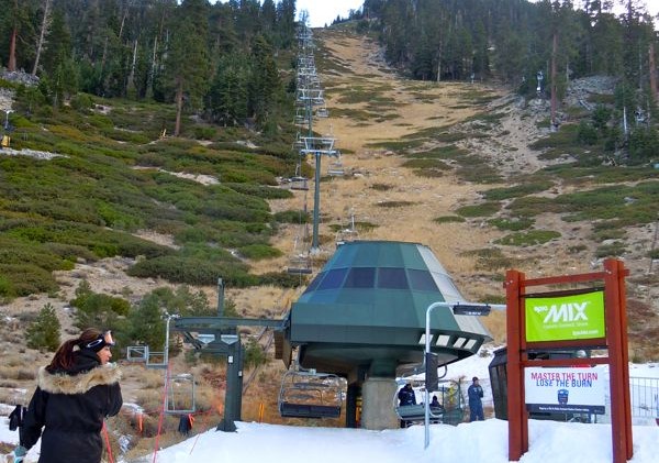 Study: Cleared ski runs recover the best