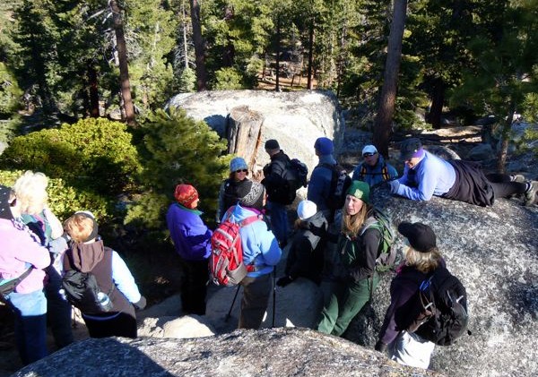 Nuances of forest come alive in guided Tahoe trail hike