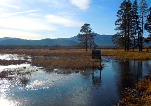 Winter forecast to arrive in Tahoe next week