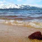 lake tahoe