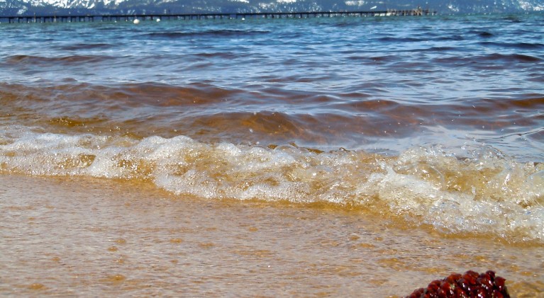 Tahoe’s clarity — a billion dollar scientific experiment