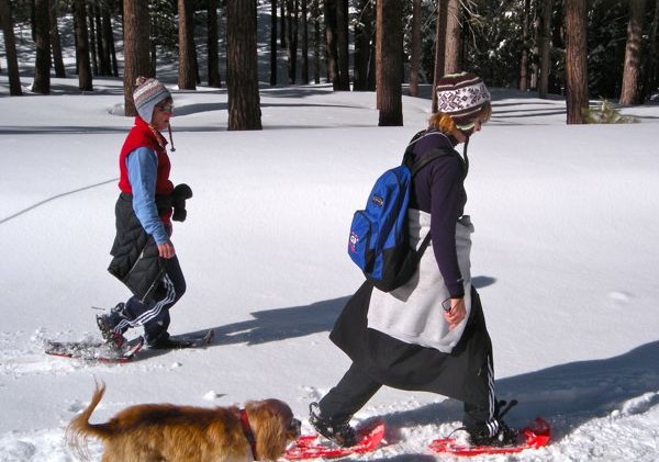 Snippets about Lake Tahoe