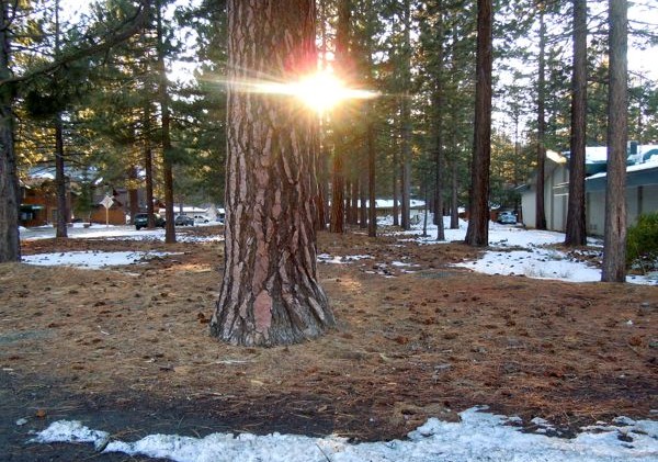 CTC, S. Tahoe land swap may add parking to Harrison Ave.
