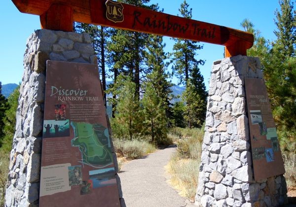 Students to get hands-on education in Tahoe forest