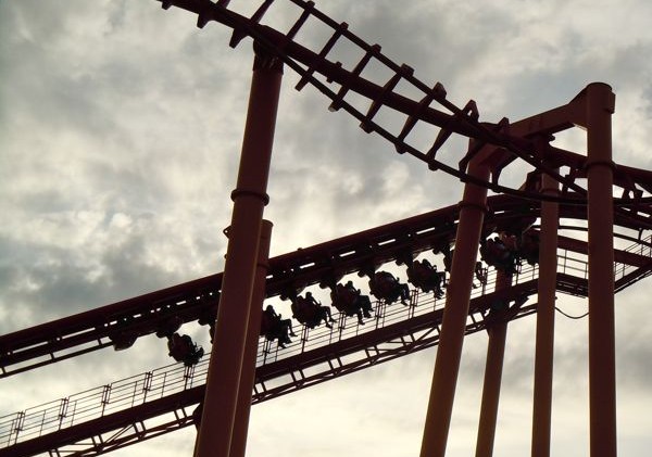 Go for the roller coasters, stay for the animals