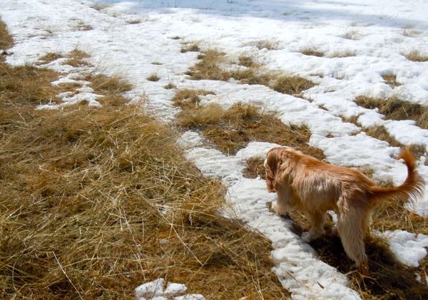 Wet week ahead for Lake Tahoe Basin