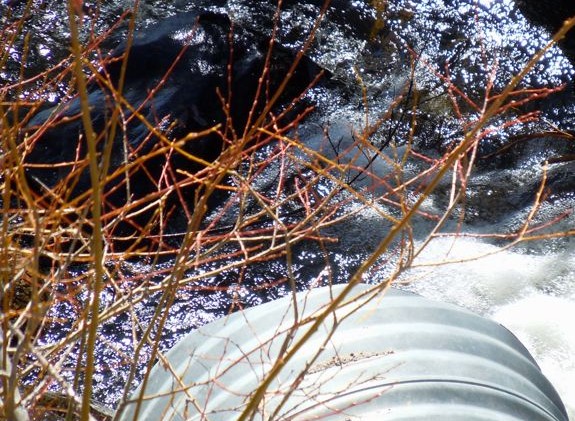 Underground movement to bank El Niño’s rainfall