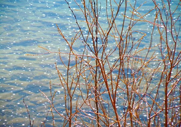 Spring runoff sending more water into Lake Tahoe