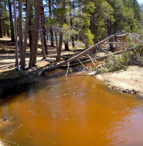 trout creek