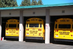 bus