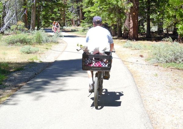 USFS to work on Camp Rich area bike trail