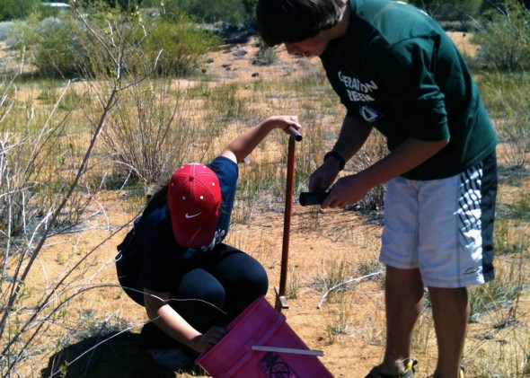 STHS students plant rare yellow cress on shore of Tahoe