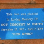 plaque