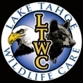 Products in stores can be a death sentence for wildlife