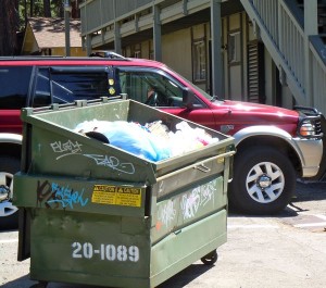 trash-1