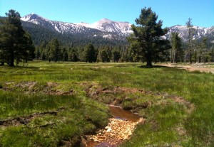 creek-1
