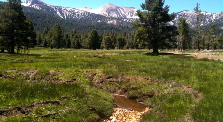 Cold Creek reroute in High Meadow turns back the clock