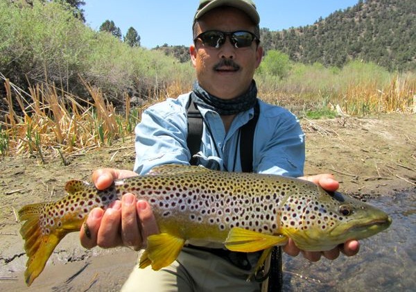 Fly fishing is all about the bugs and an accurate cast