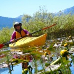 paddle-4