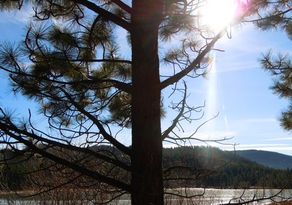 Public participation lacking in mapping future of Tahoe park