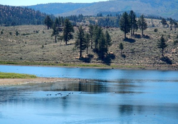 STPUD changing how water is distributed in Alpine County