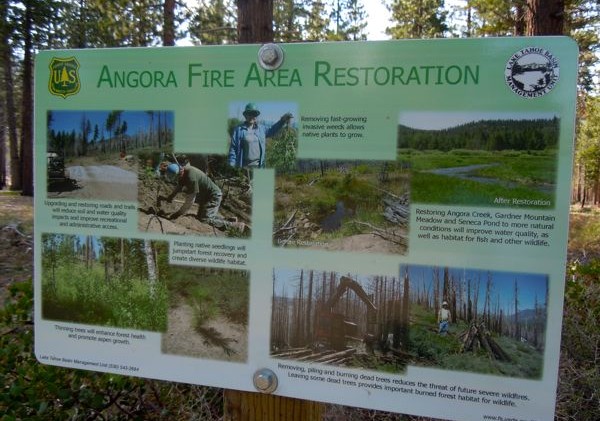 USFS moves Lake Tahoe logging for woodpecker; still criticized