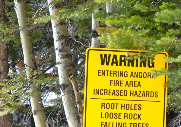 Appellate court sides with USFS regarding Angora project